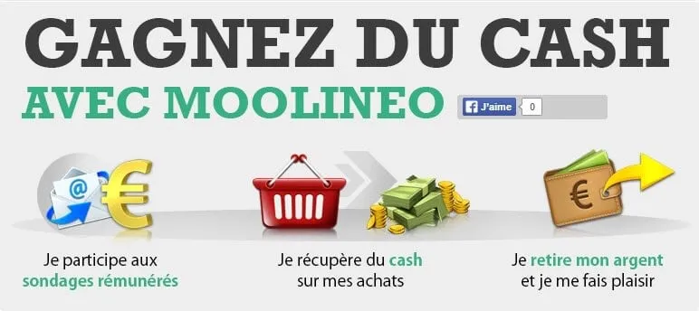 Moolineo avis