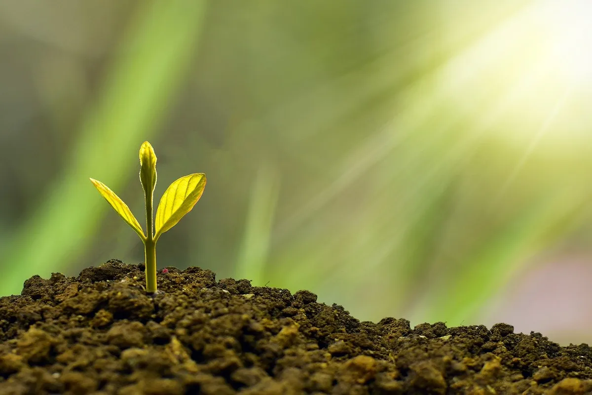 Investir son argent